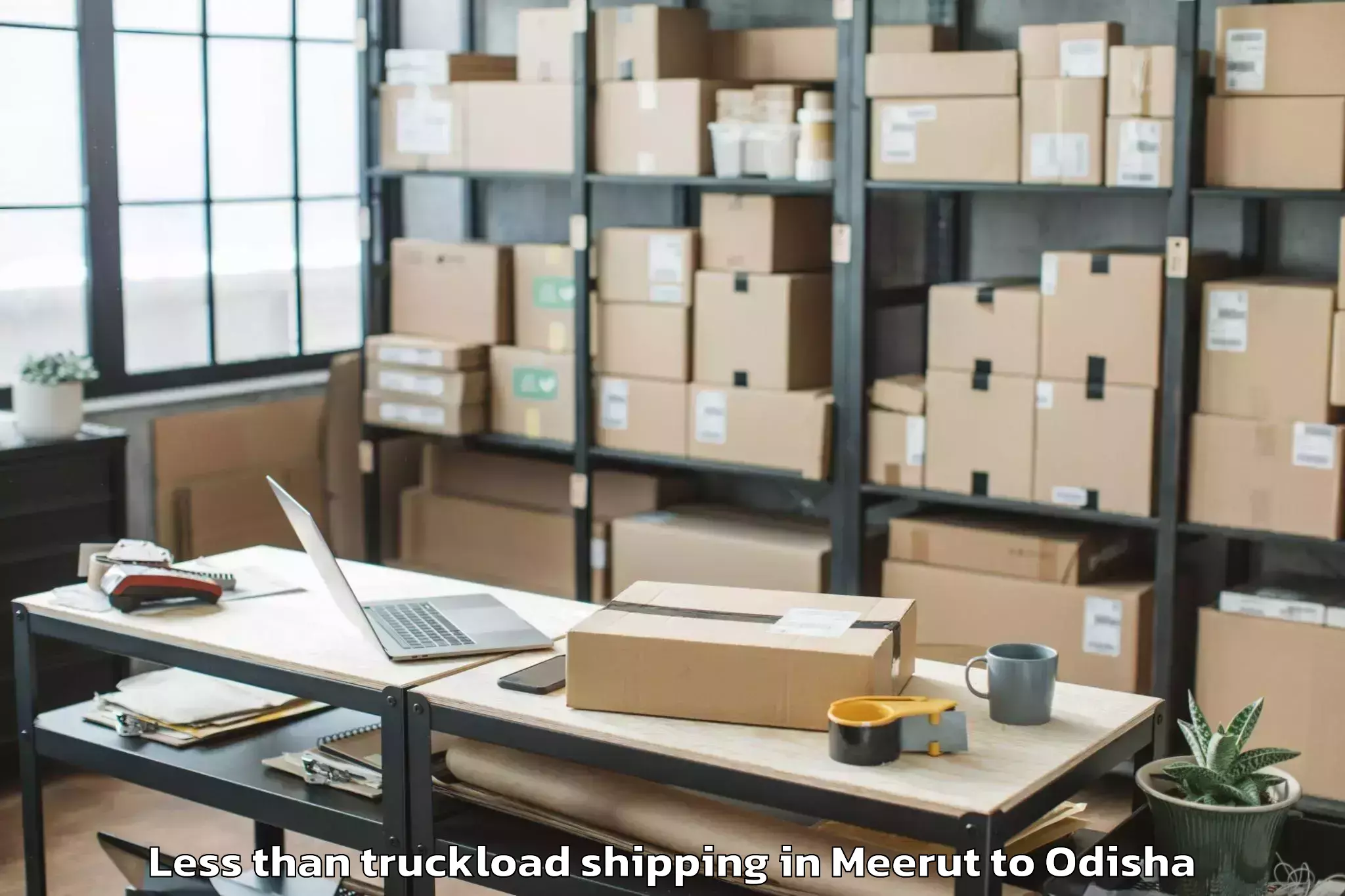 Book Meerut to Karanjia Less Than Truckload Shipping Online